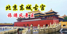 少妇深喉囗交3p中国北京-东城古宫旅游风景区